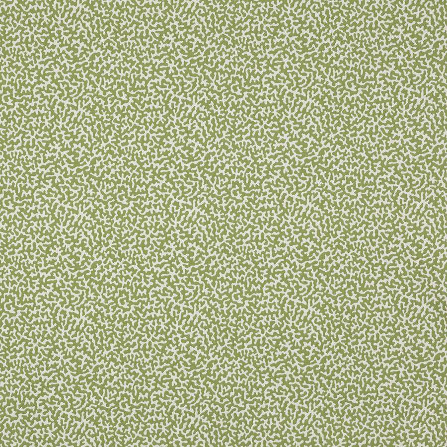Manuel Canovas Fabric Apolline Kiwi