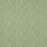 Manuel Canovas Fabric Apolline Prairie