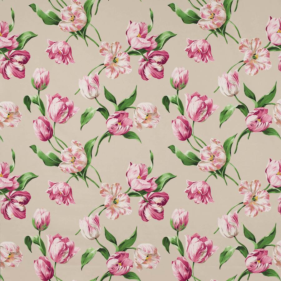 Polina Tyg — Manuel Canovas