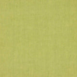 Manuel Canovas Oscar Pistache -kangas