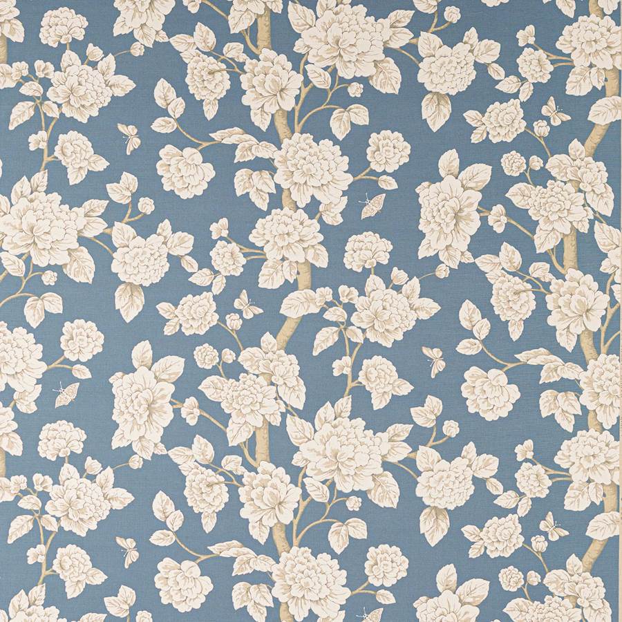 Thais Tyg — Manuel Canovas