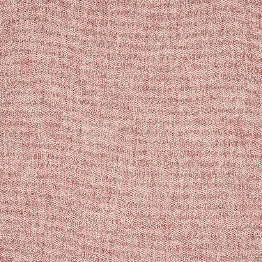 Thabor Tygprov — Manuel Canovas