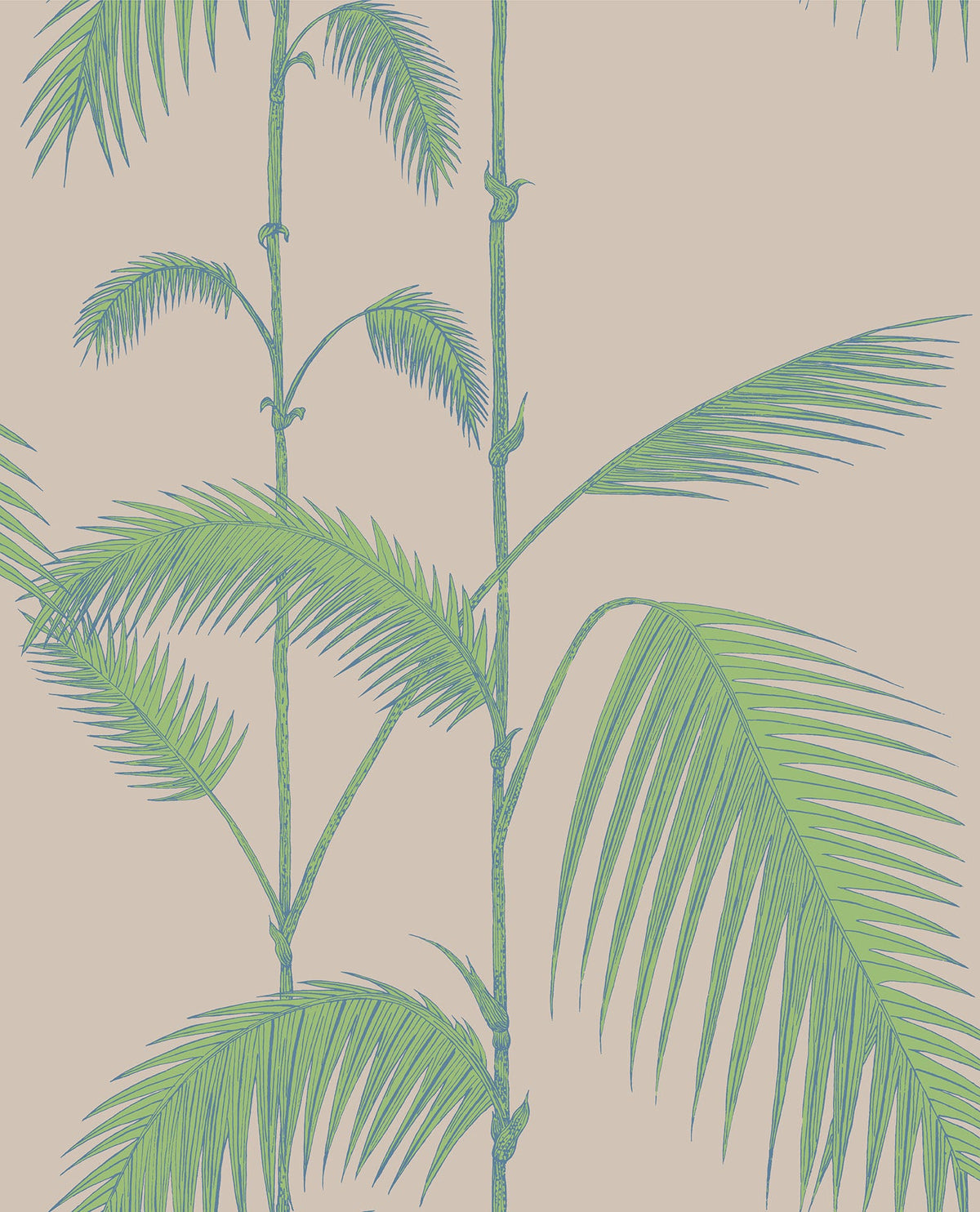 Cole and Son Palm Leaves 11 -tapetti