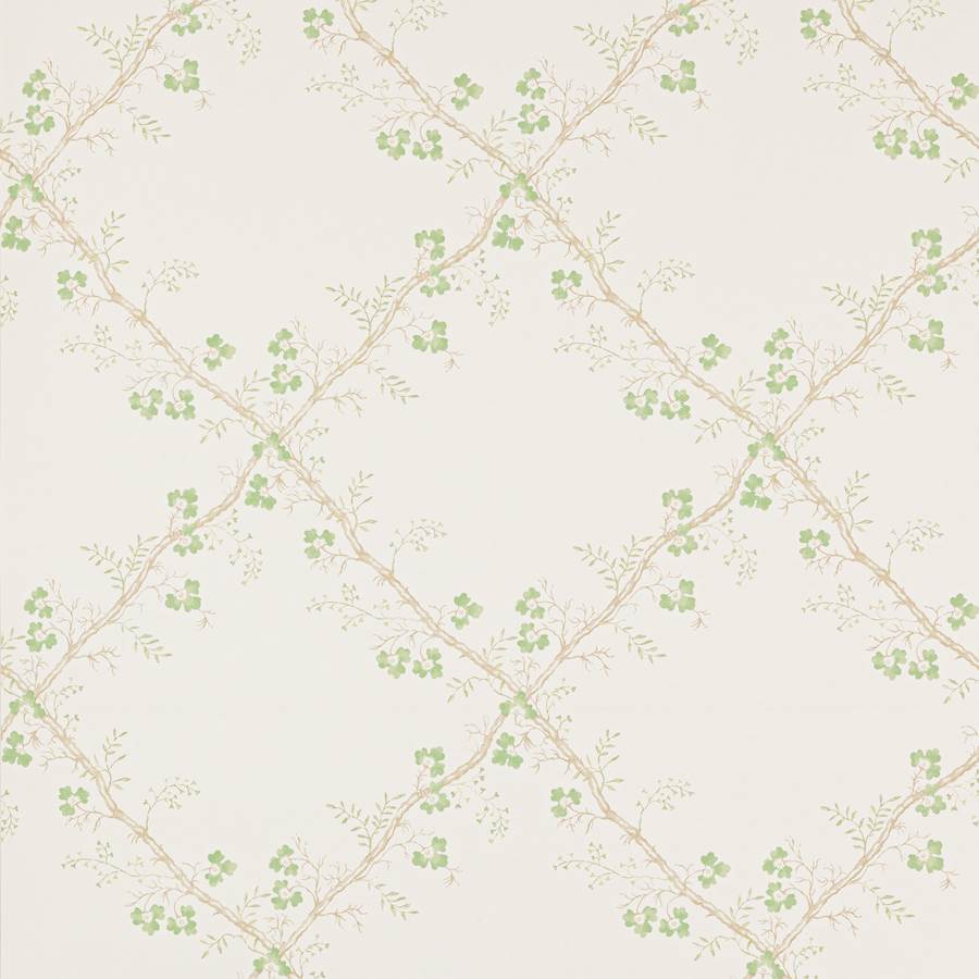 Colefax and Fowler Tapet Trefoil Trellis Leaf