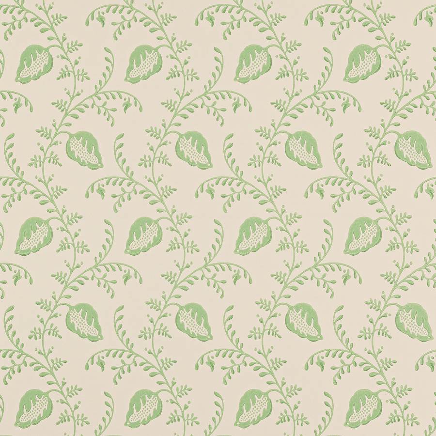Colefax and Fowler Tapete Felicity Green