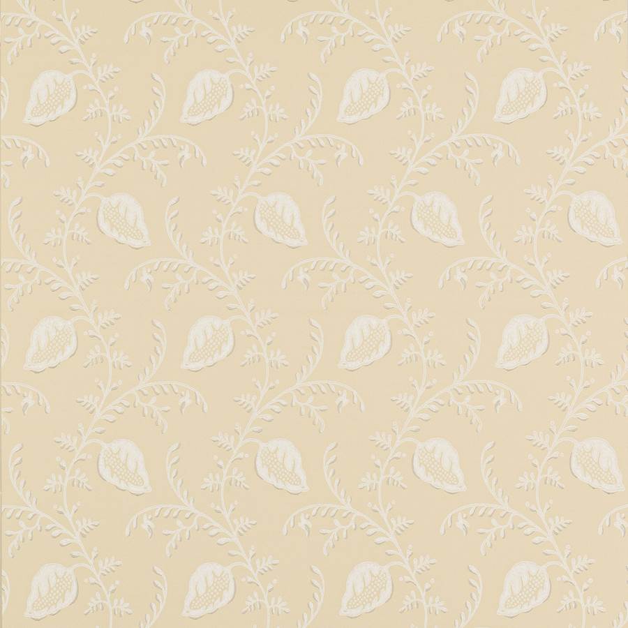 Colefax and Fowler Tapete Felicity Yellow
