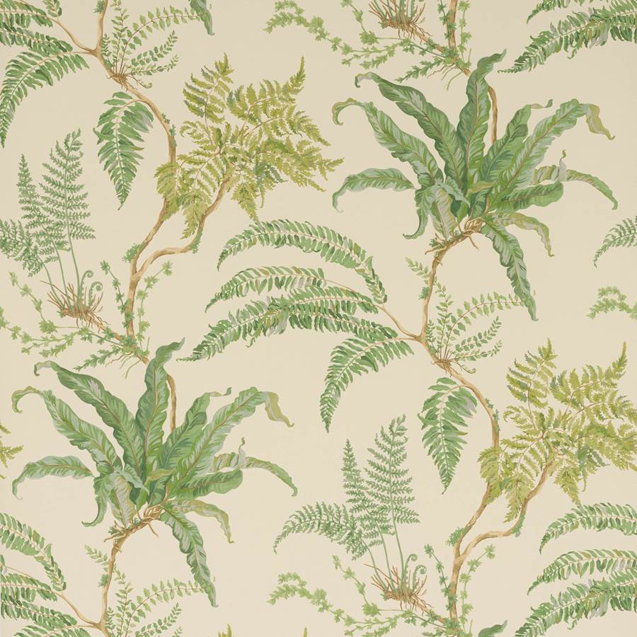 Campione di carta da parati Woodfern — Colefax & Fowler