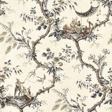 Zoffany Tapet Emperors Musician Charcoal