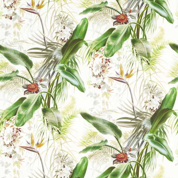 Zoffany Tyg Paradise Row Evergreen
