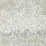 Zoffany Tapet Belvoir Mineral