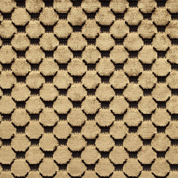 Zoffany Stoff Tespi Spot Carbon/Old Gold