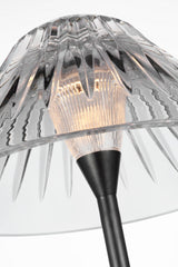 Blaze 55" Golvlampa — Waterford for Visual Comfort & Co. — Bronze with Clear Crystal detaljbild