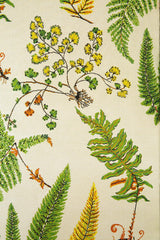 Botanique miljöbild — Pierre Frey tyg
