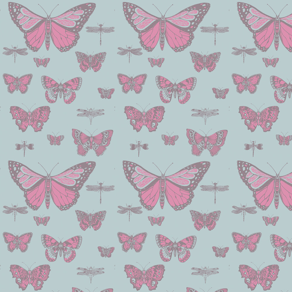 Butterflies & Dragonflies Pink & Blue — Cole & Son -tapettinäyte