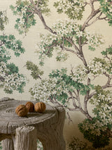 Courtine Raumbild — Pierre Frey Tapete