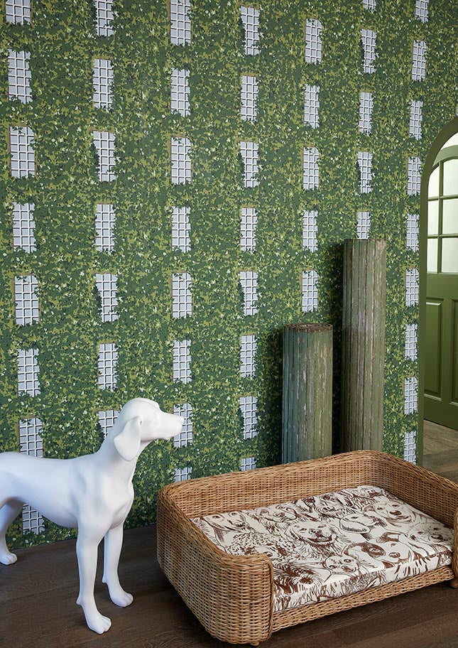 Designer Dogs Raumbild — Pierre Frey Stoff