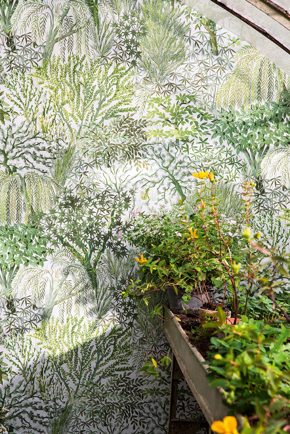 Eldorado room setting — Pierre Frey wallpaper