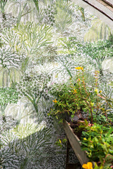 Eldorado room setting — Pierre Frey wallpaper