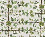 Espalier Foin — Pierre Frey tyg