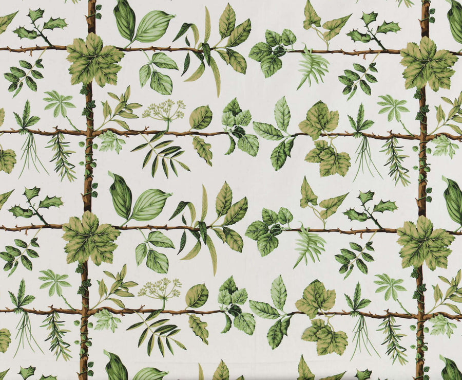 Espalier Tyg — Pierre Frey
