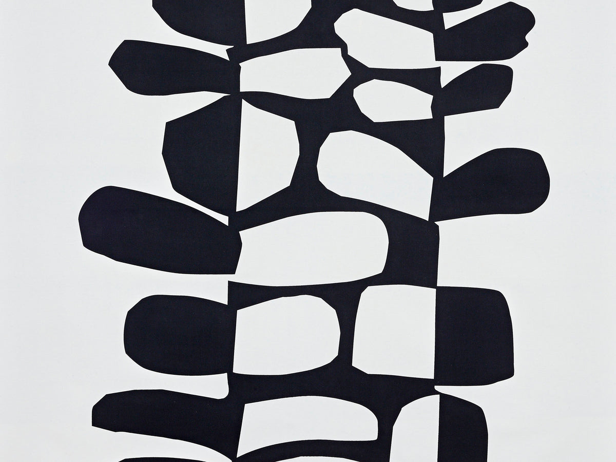 Surprise Noiretblanc — Pierre Frey fabric