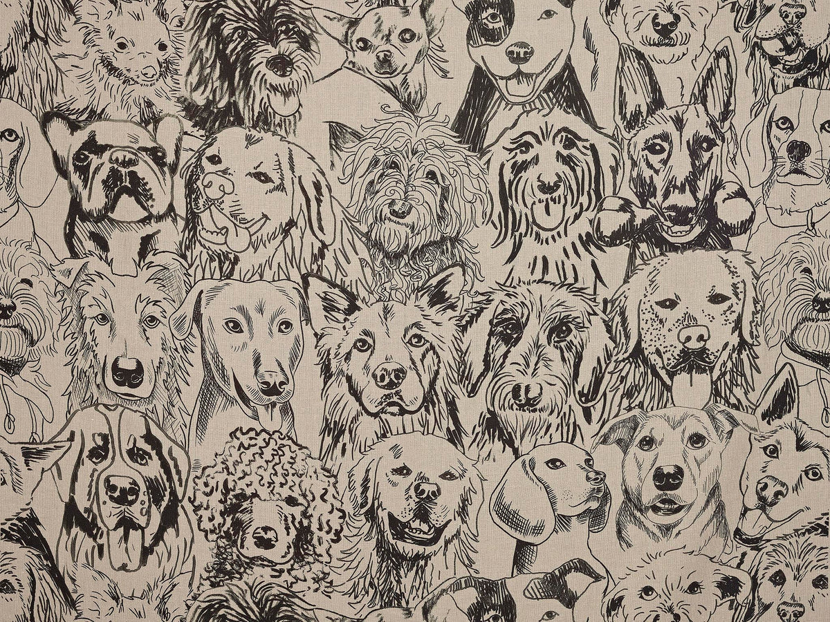 Designer Dogs Fusain — Pierre Frey Stoff