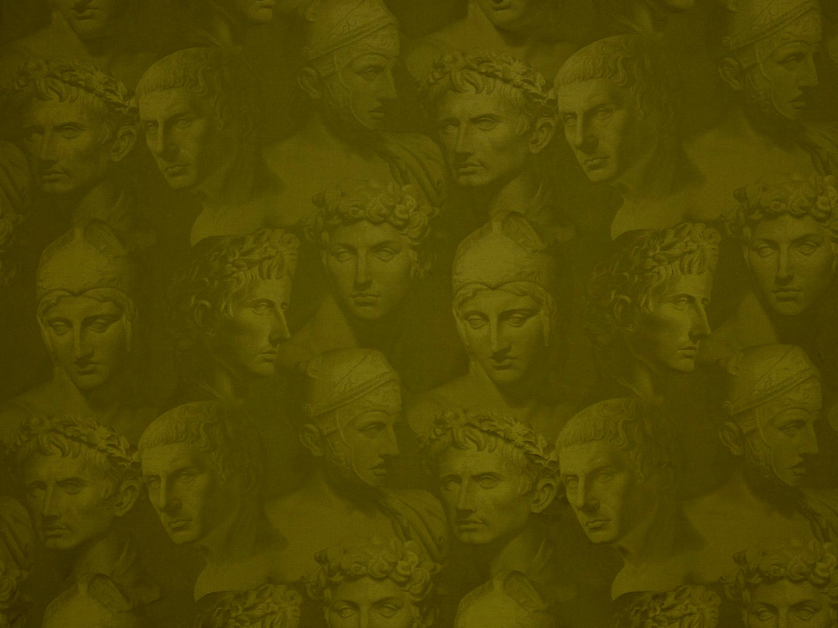 Stoned Romans Olive — Pierre Frey Stoff