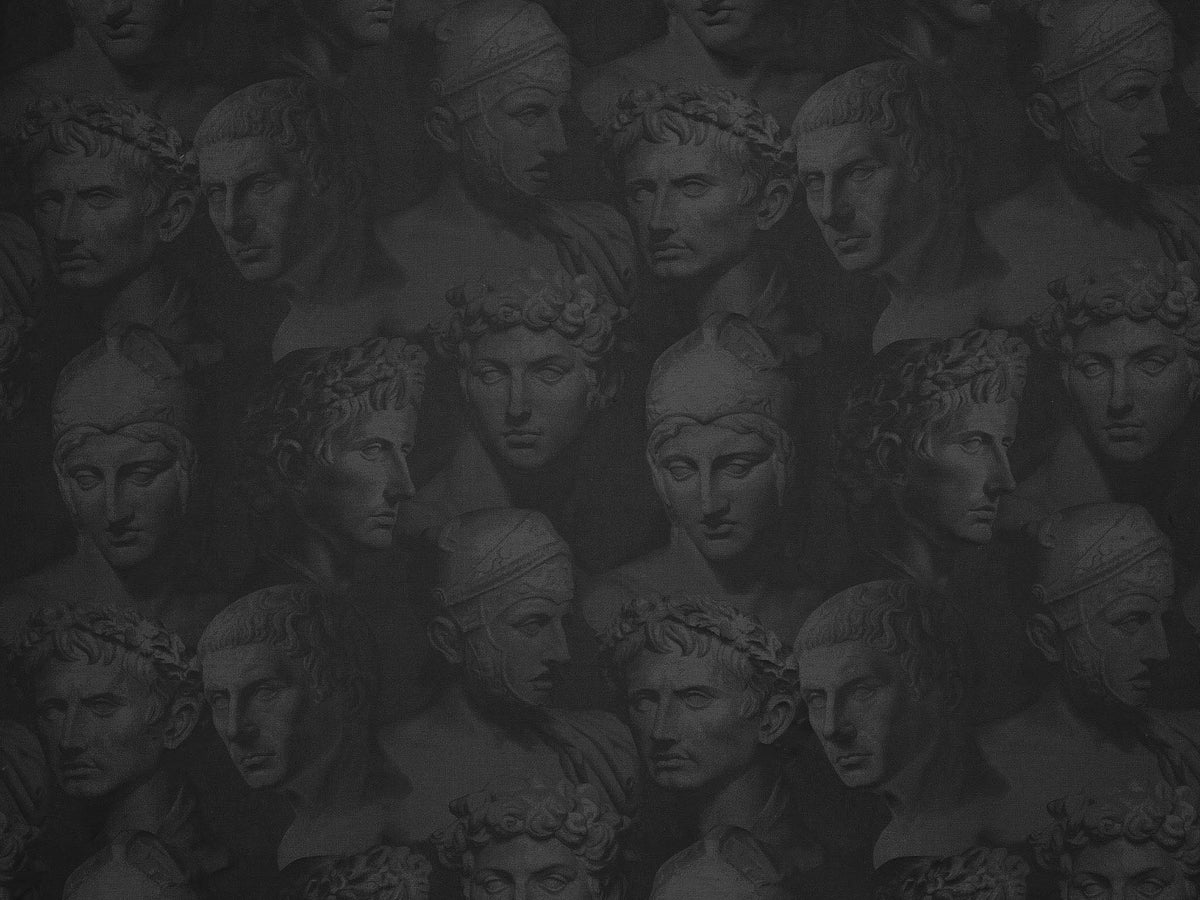 Stoned Romans Crin — Pierre Frey Stoff