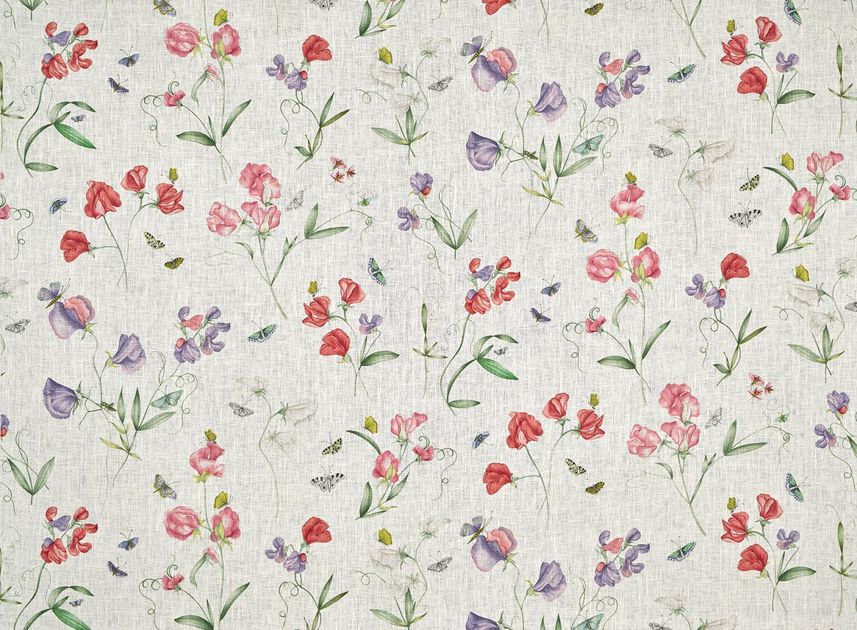 Les Pois de Senteur Printemps — Pierre Frey -kangas