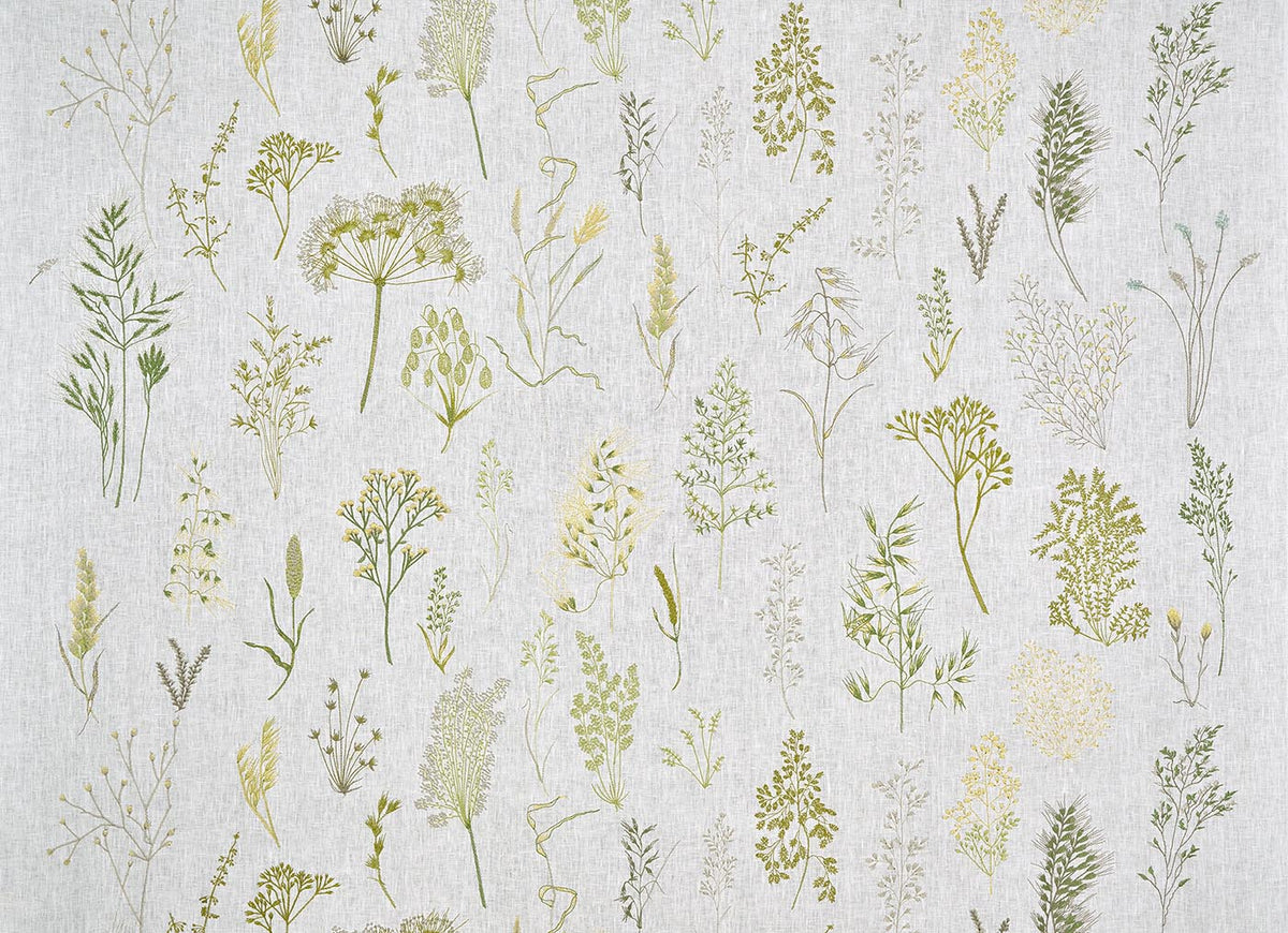 Les Graminees Broderie PRAIRIE — Pierre Frey tyg