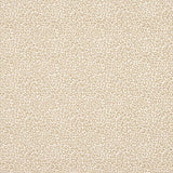 Baxter Tygprov — Colefax & Fowler Sand