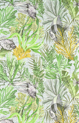 Pleine Mer Cactus — Pierre Frey -tapetti