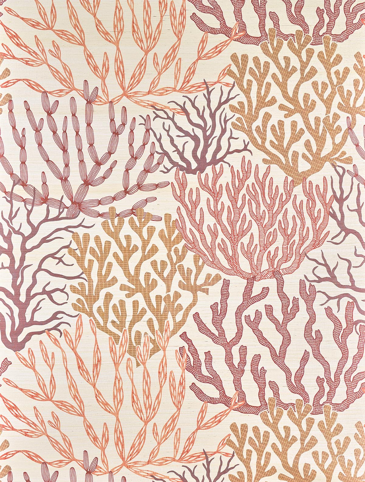 Acropora Corail — Pierre Frey Tapete