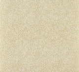 Craquelin Ocre — Pierre Frey wallpaper