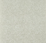 Craquelin Grege — Pierre Frey wallpaper