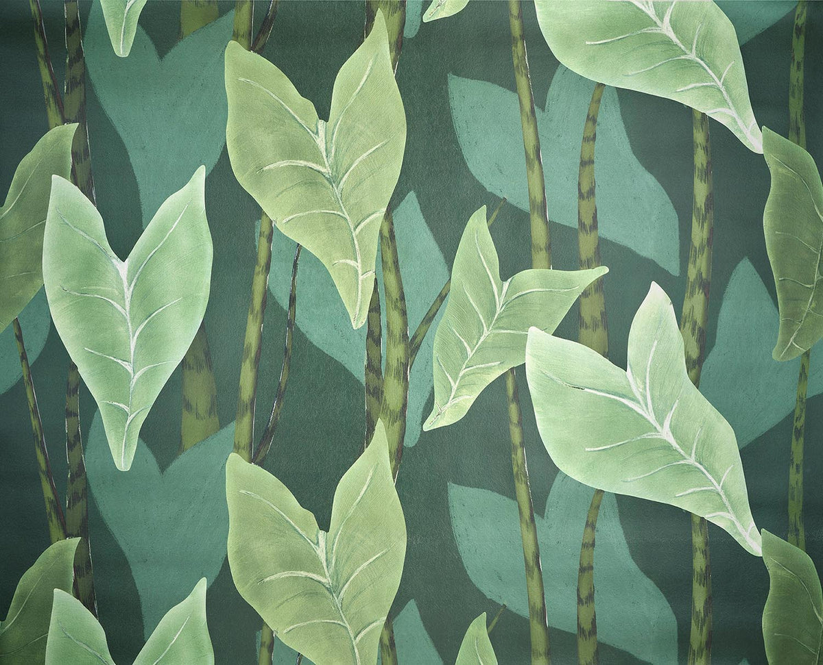 Monstera Jungle — Pierre Frey tapet