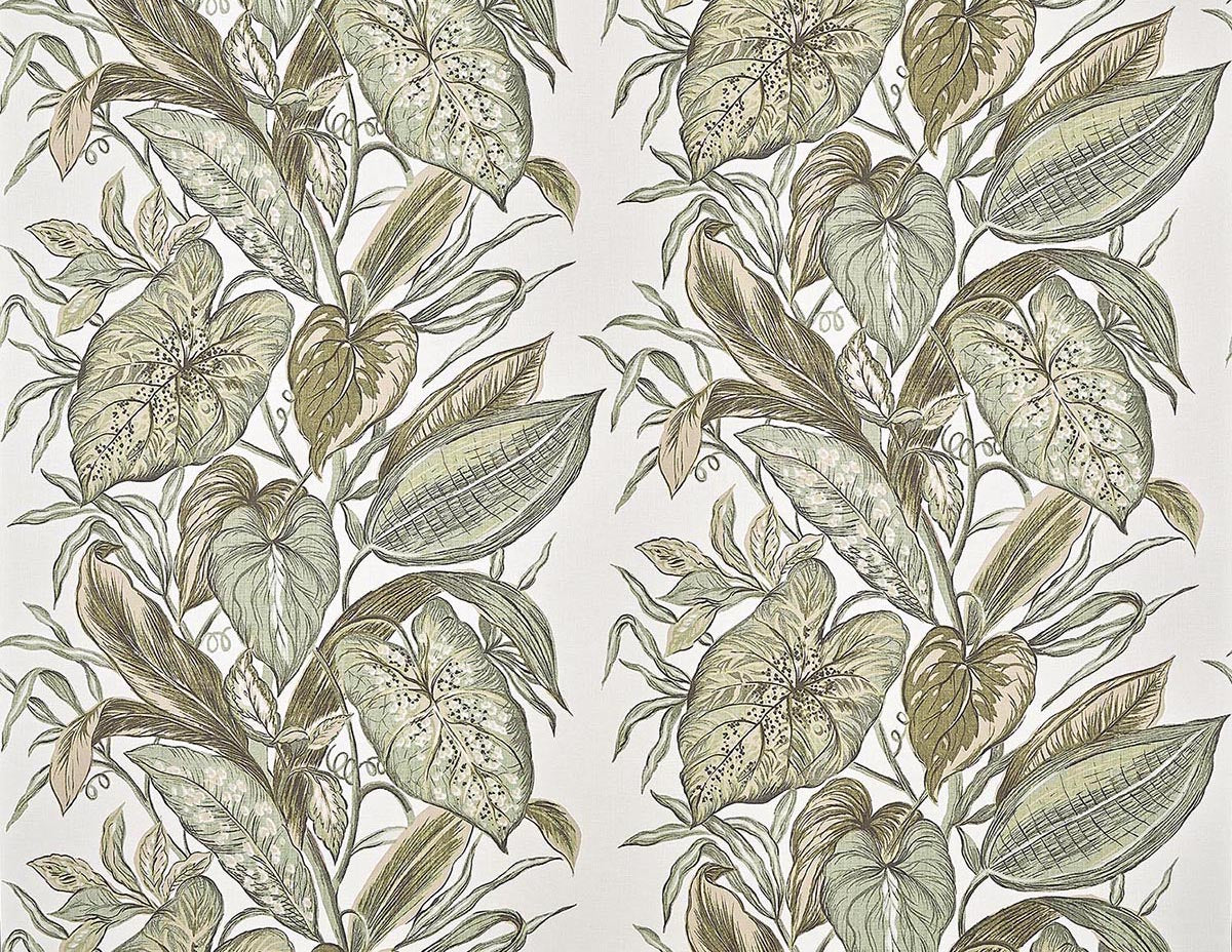 Nassau AGAVE — Pierre Frey -tapetti