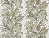 Nassau AGAVE — Pierre Frey -tapetti