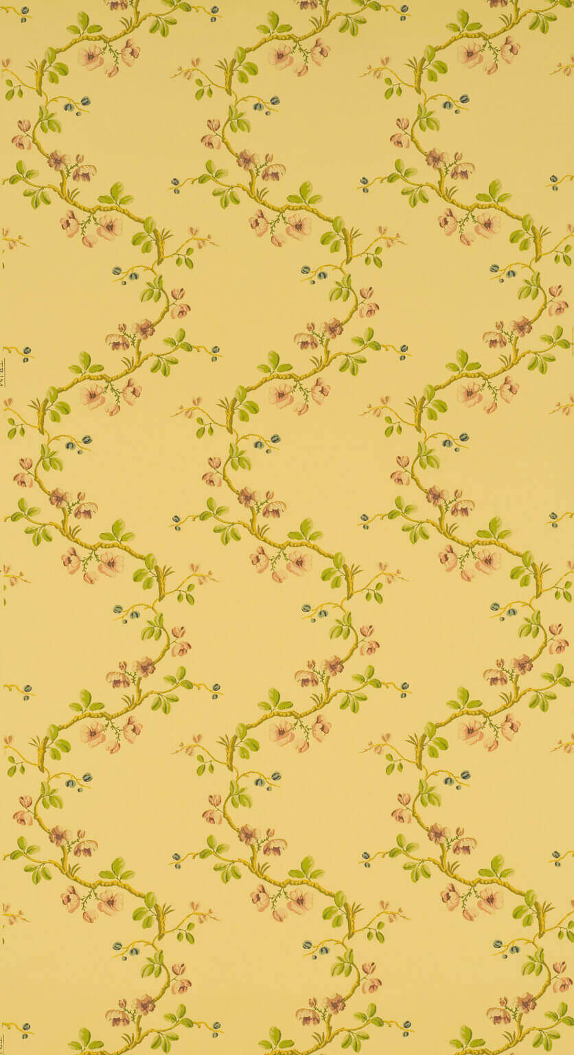 Wallpaper Sans Papillons Jaune — Pierre Frey tapet