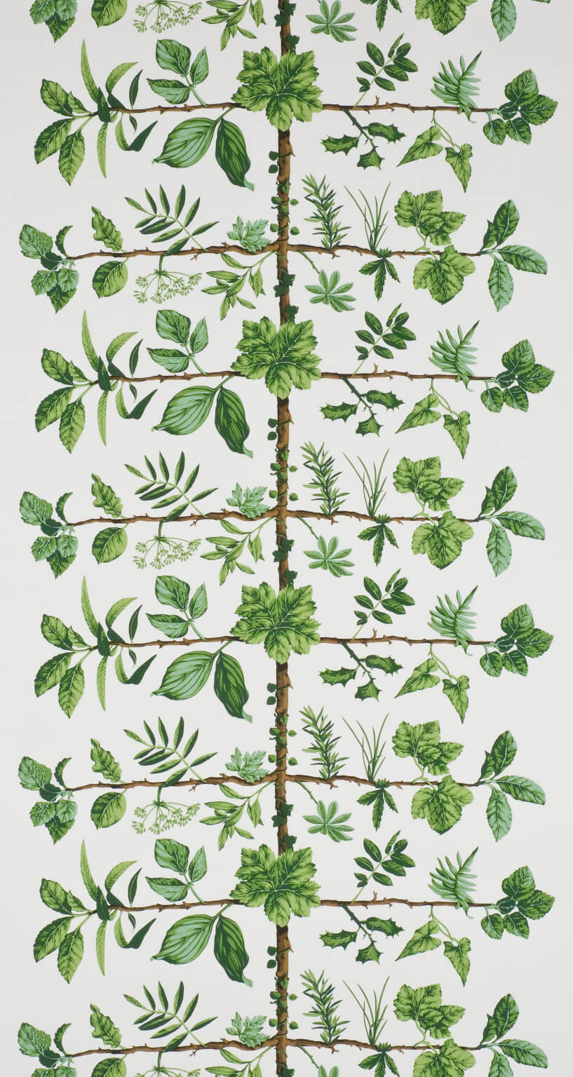 Wallpaper Espalier Tapet — Pierre Frey