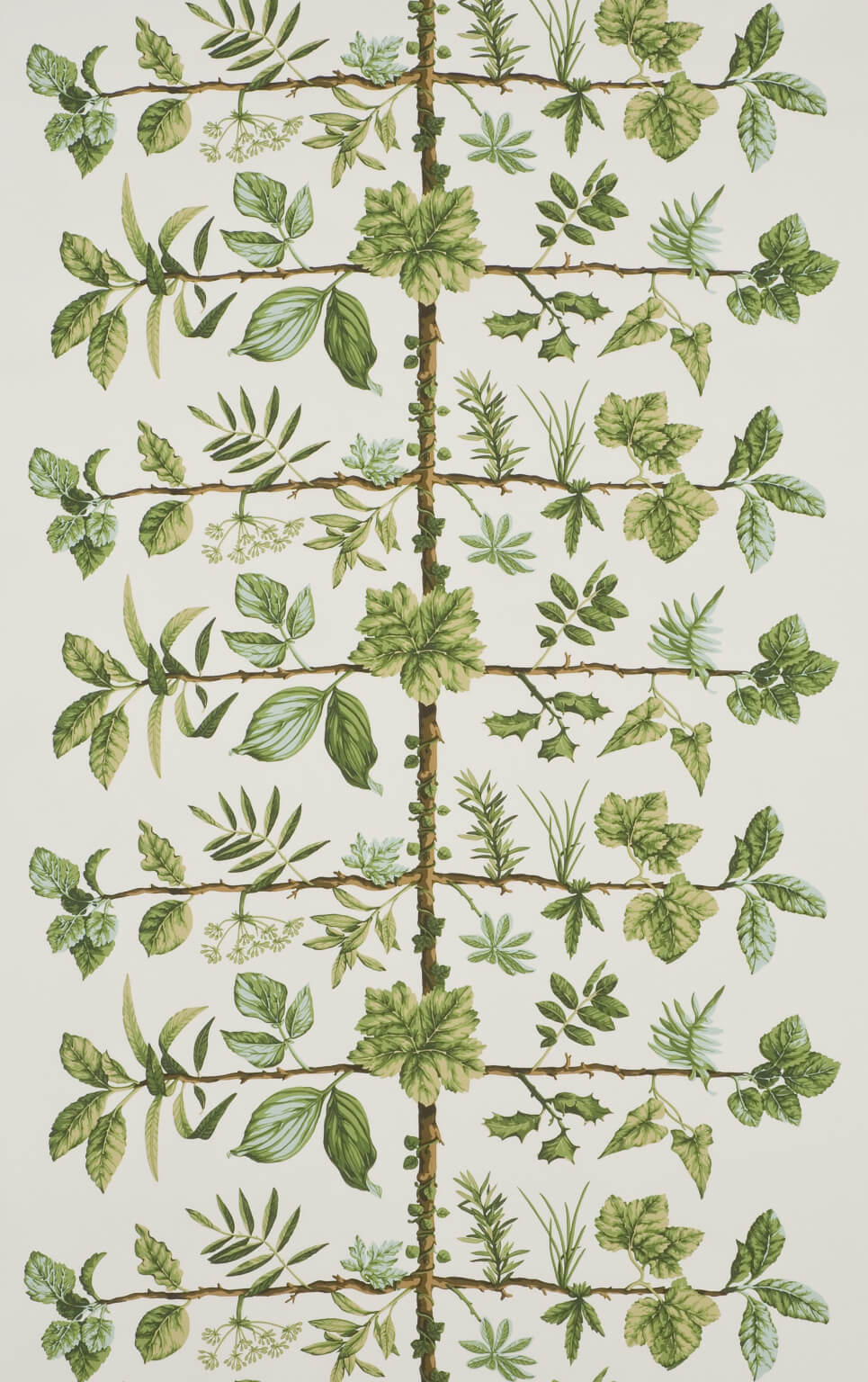Wallpaper Espalier Foin — Pierre Frey Tapete