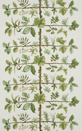 Wallpaper Espalier Foin — Pierre Frey Tapete