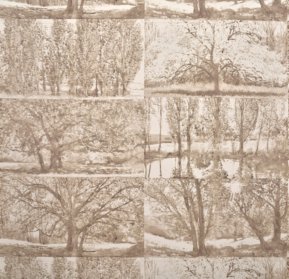Arbres et Sous Bois BOULEAU — Pierre Frey Tapete