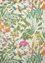 Fantaisie Tropicale VEGETAL — Pierre Frey Tapete
