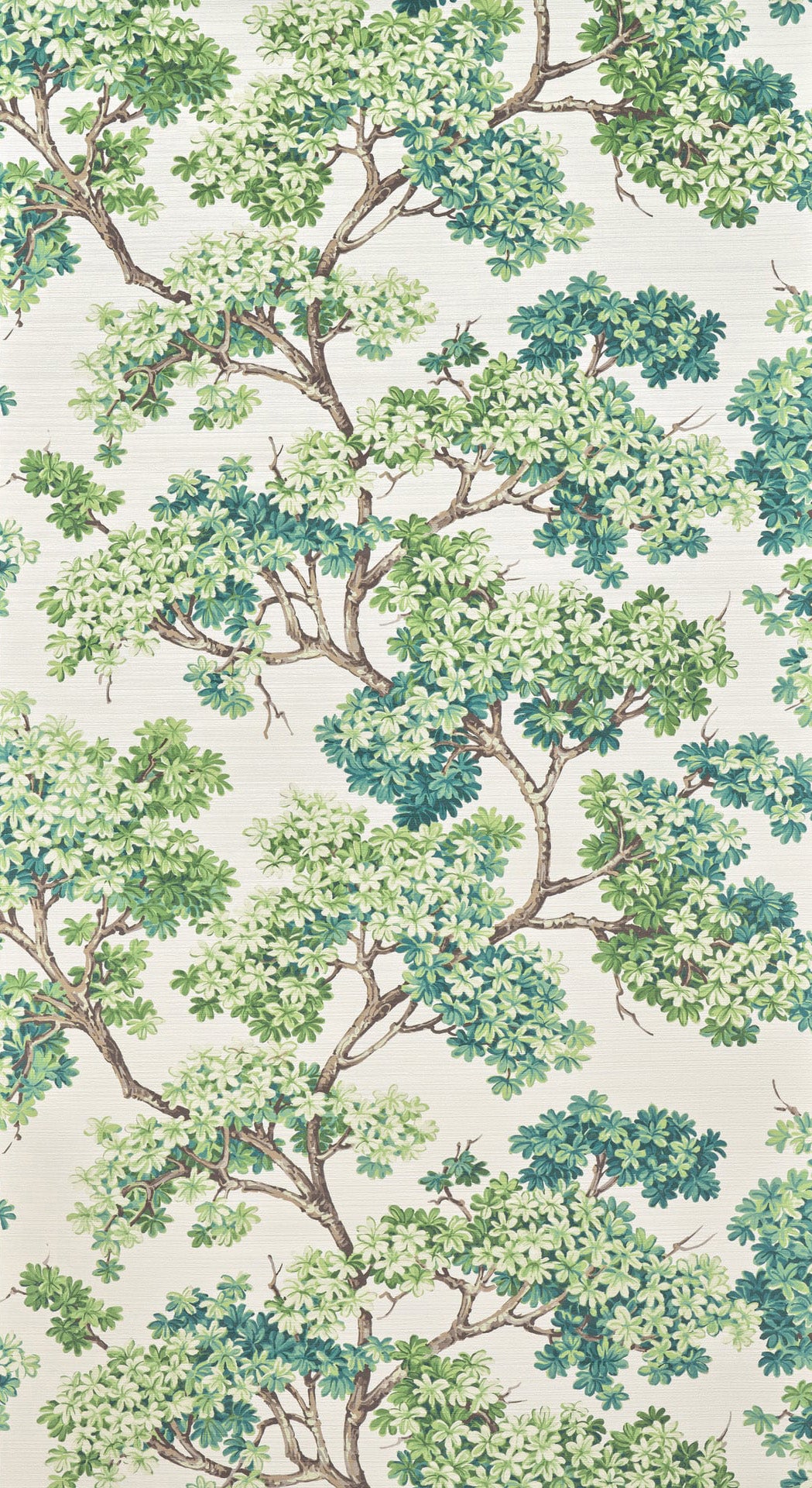 Courtine VEGETAL — Pierre Frey Tapete
