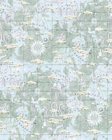 Magellan Celadon — Pierre Frey Tapete