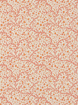 Fleurs de Corail Creme — Pierre Frey -tapetti
