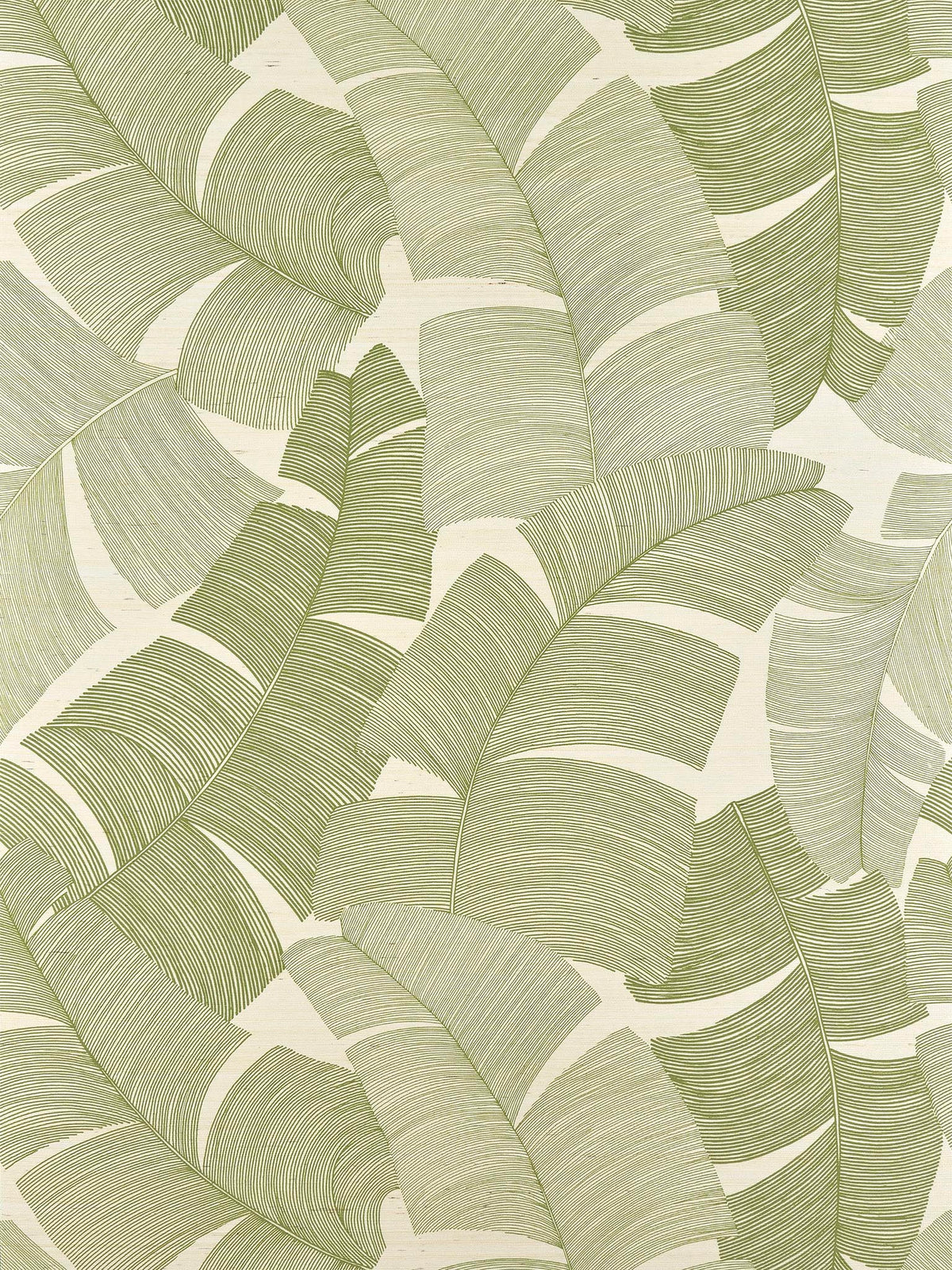 Tikehau Palmier — Pierre Frey tapet