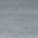 Darwin Blue — Jane Churchill fabric