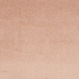 Darwin Pink — Jane Churchill fabric